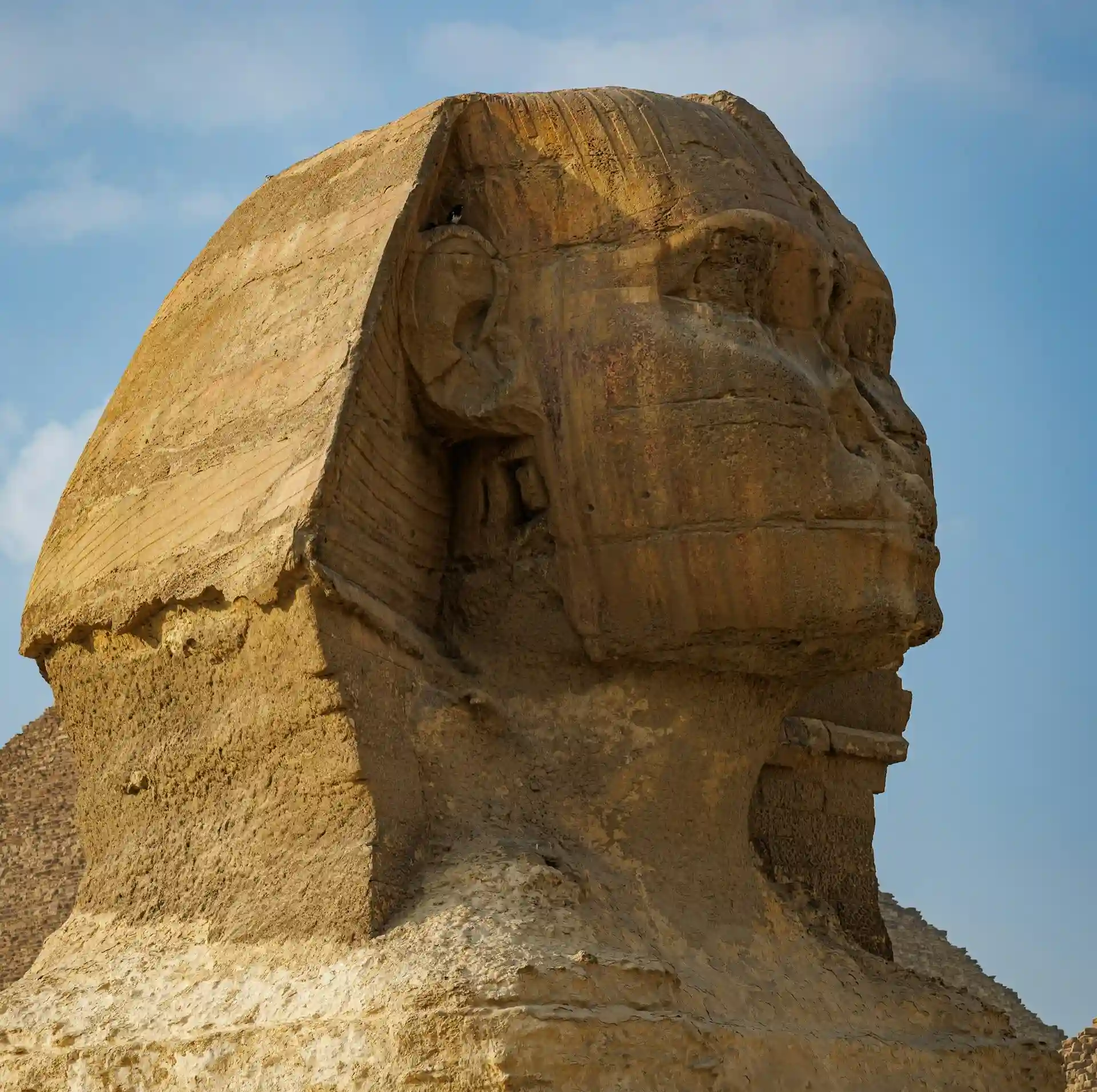 Cultura, arte e historia