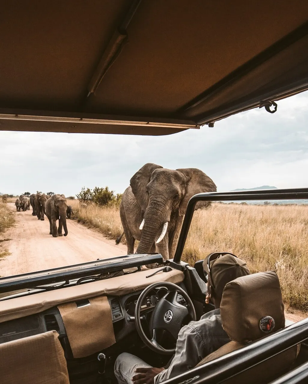 Safaris en África