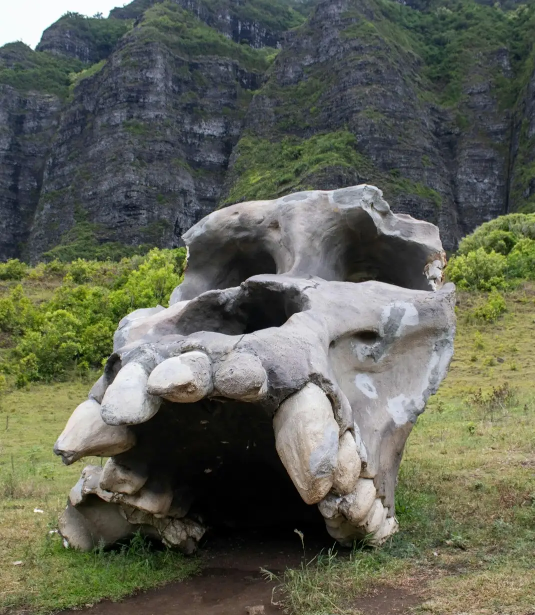 Viajes Parque Jurásico Kualoa Ranch Estados Unidos